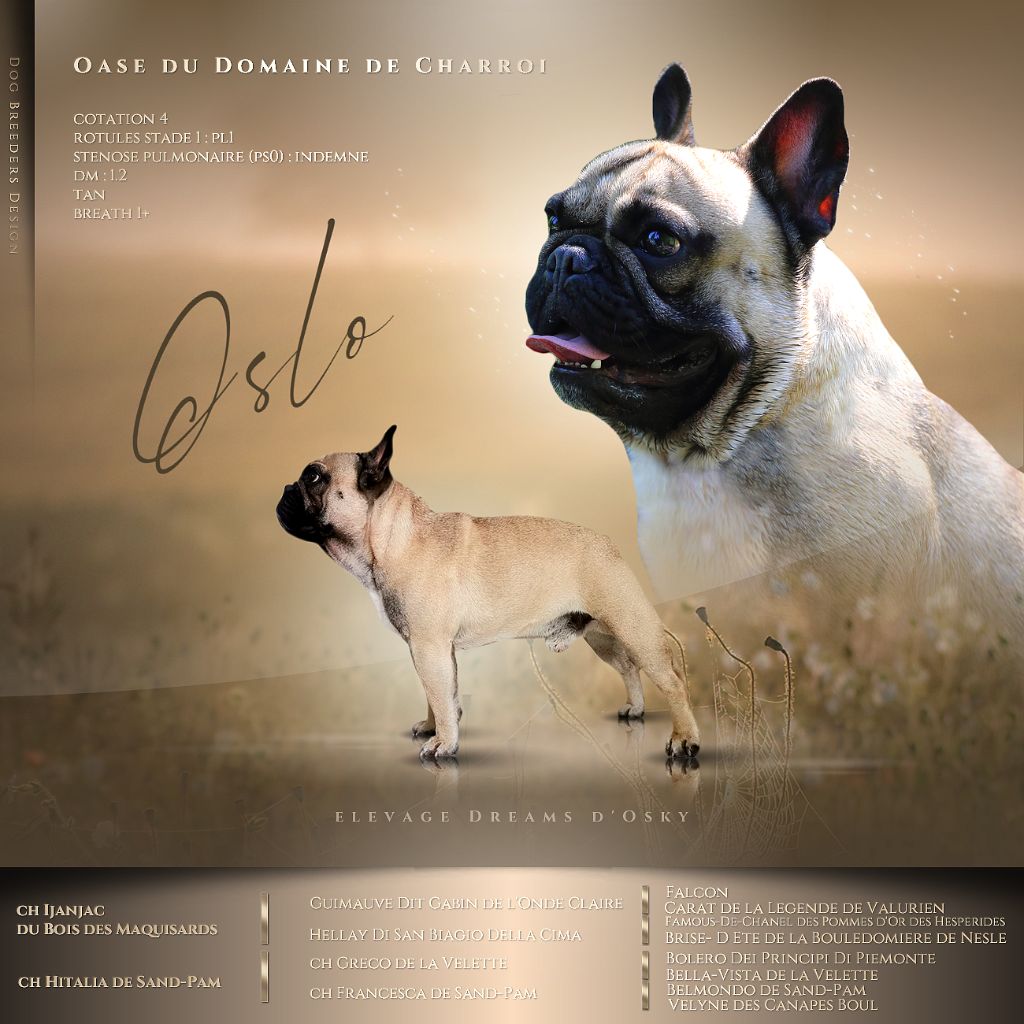 Oase (dit oslo) Du Domaine De Charroi